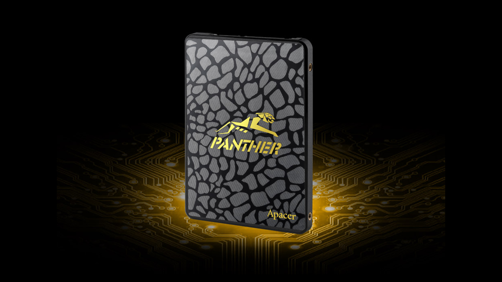 حافظه اس اس دی AS340 PANTHER ظرفیت 960 گیگابایت